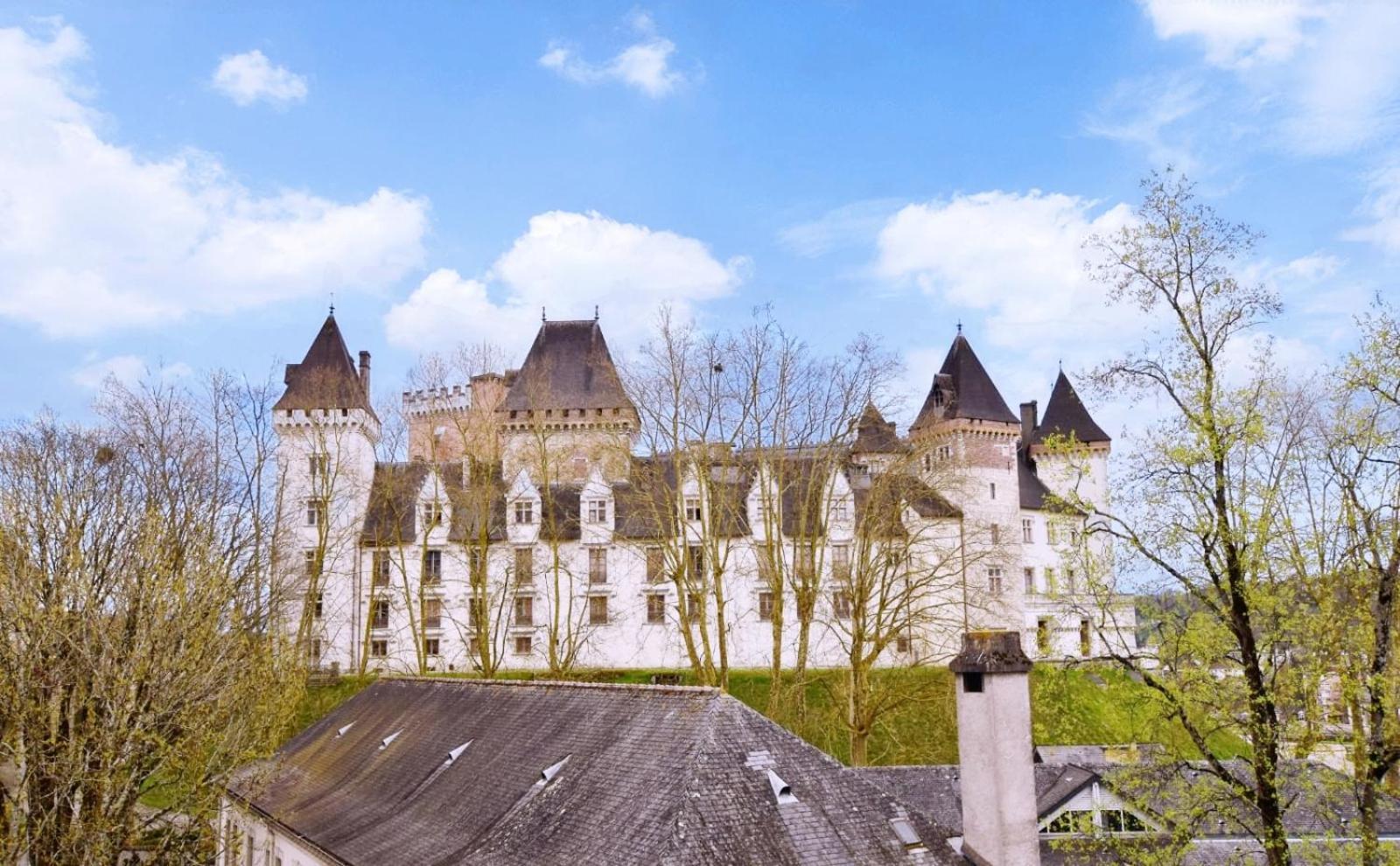 La Vue Royale - Face Au Chateau - Wifi - 4 Personnes Pau Kültér fotó